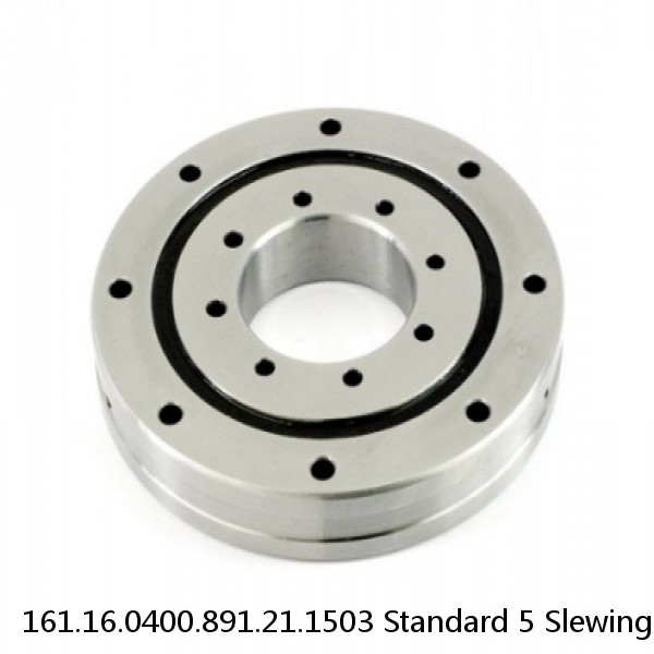 161.16.0400.891.21.1503 Standard 5 Slewing Ring Bearings