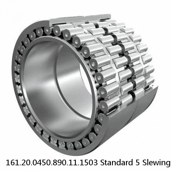 161.20.0450.890.11.1503 Standard 5 Slewing Ring Bearings