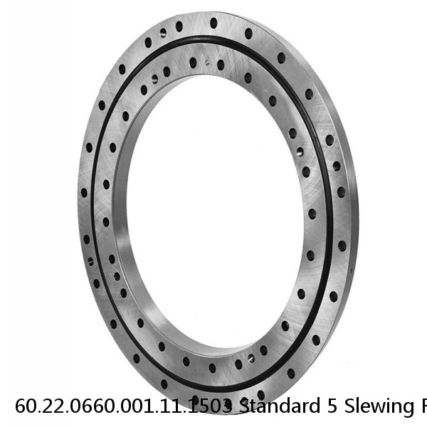 60.22.0660.001.11.1503 Standard 5 Slewing Ring Bearings