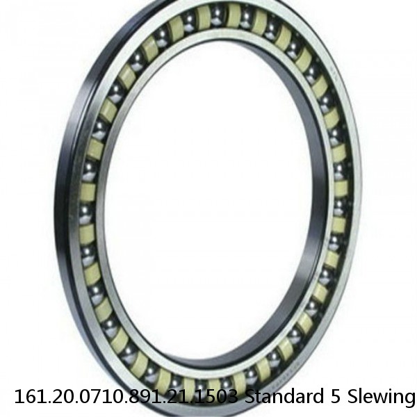 161.20.0710.891.21.1503 Standard 5 Slewing Ring Bearings