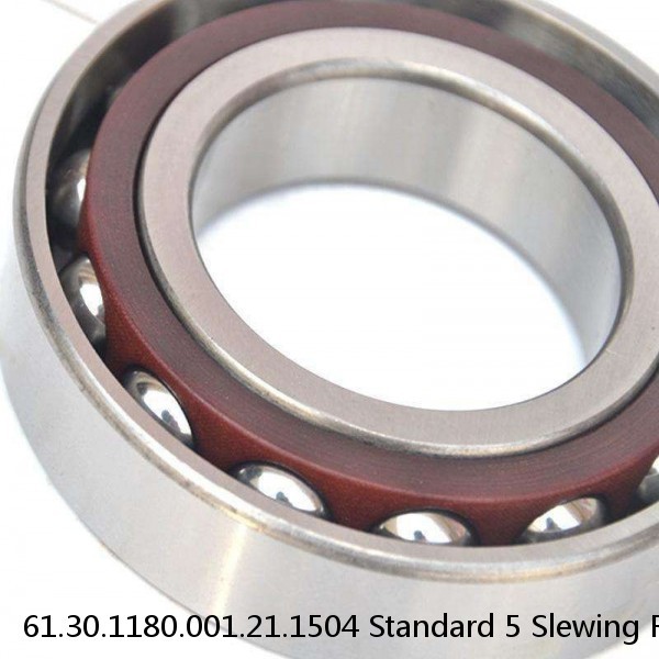 61.30.1180.001.21.1504 Standard 5 Slewing Ring Bearings