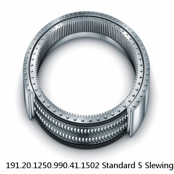 191.20.1250.990.41.1502 Standard 5 Slewing Ring Bearings