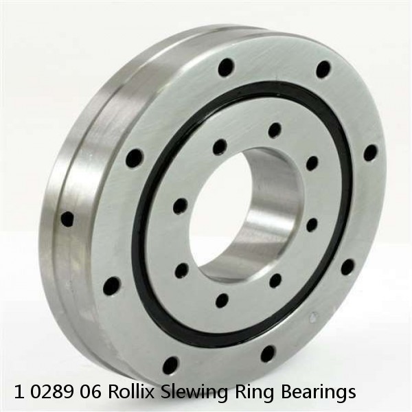 1 0289 06 Rollix Slewing Ring Bearings