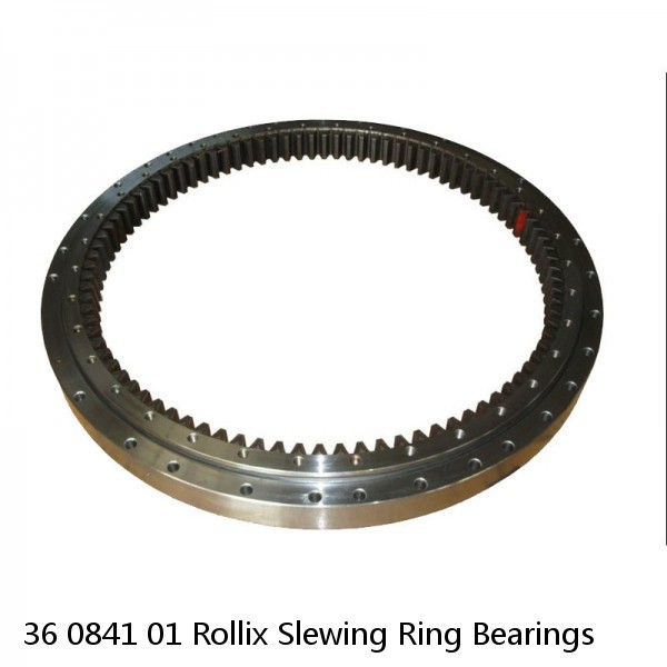 36 0841 01 Rollix Slewing Ring Bearings