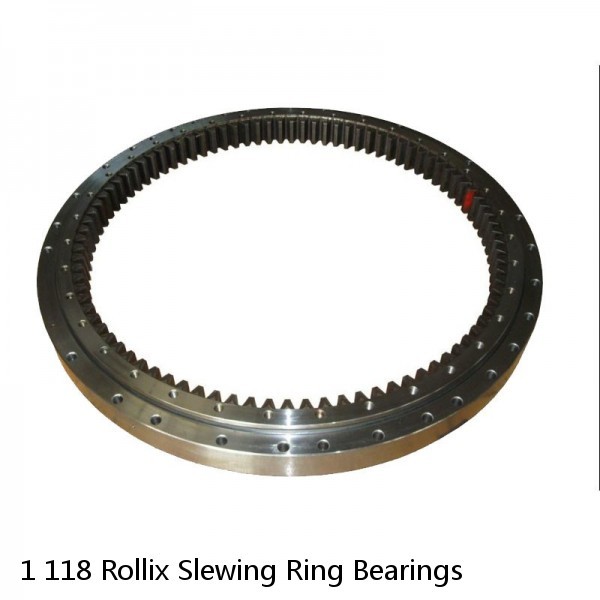 1 118 Rollix Slewing Ring Bearings