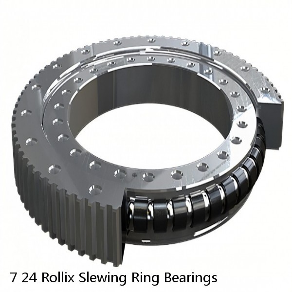 7 24 Rollix Slewing Ring Bearings