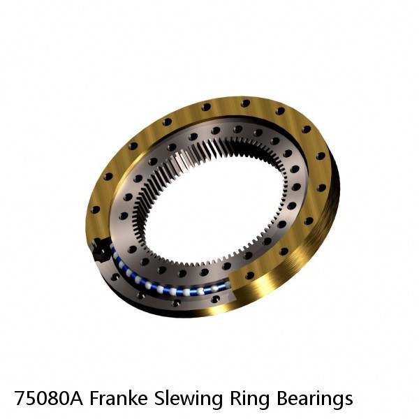 75080A Franke Slewing Ring Bearings