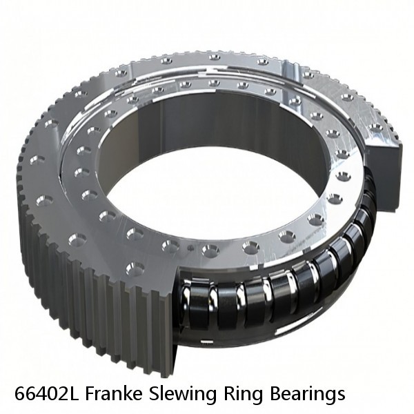 66402L Franke Slewing Ring Bearings