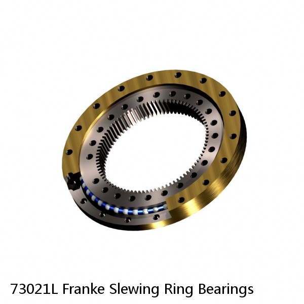 73021L Franke Slewing Ring Bearings